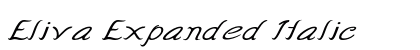 Eliva Expanded Italic Preview