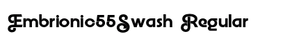 Embrionic55Swash Regular preview