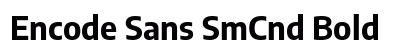 Encode Sans SmCnd Bold preview