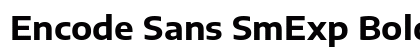 Encode Sans SmExp Bold preview
