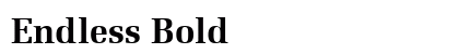 Endless Bold preview