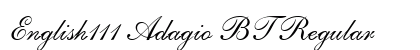 English111 Adagio BT Regular preview