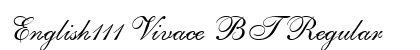 English111 Vivace BT Regular preview