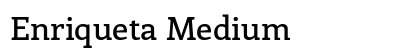 Enriqueta Medium preview