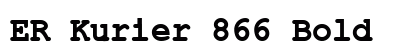 ER Kurier 866 Bold preview