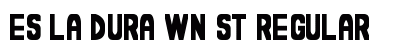 Es la dura wn St Regular preview