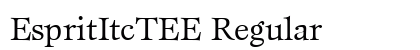 EspritItcTEE Regular preview