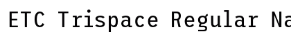 ETC Trispace Regular Narrow Preview