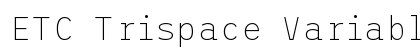 ETC Trispace Variable Regular preview