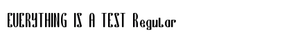EVERYTHING IS A TEST Regular preview