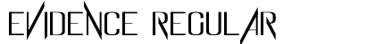Evidence Regular preview