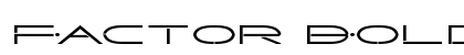 Factor Bold Bold preview