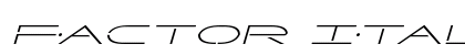 Factor Italic Italic preview