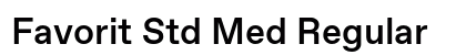 Favorit Std Med Regular preview