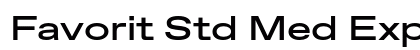 Favorit Std Med Exp Regular preview