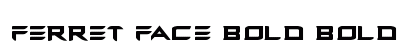 Ferret Face Bold Bold preview