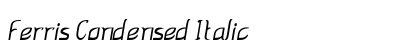 Ferris Condensed Italic Preview