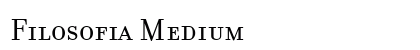 Filosofia Medium Preview