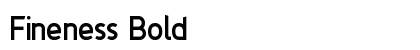 Fineness Bold preview