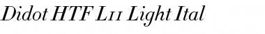 Didot Medium Italic Font