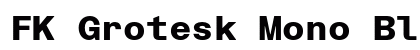 FK Grotesk Mono Black preview