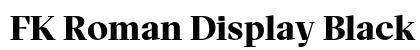 FK Roman Display Black preview