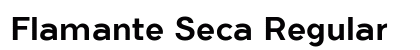 Flamante Seca Regular preview