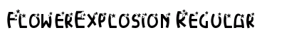 FlowerExplosion Regular preview
