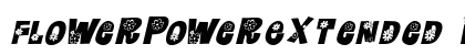 FlowerPowerExtended Italic preview