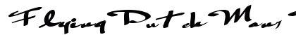 FlyingDutchMan1 Bold preview