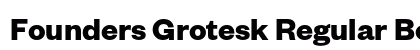 Founders Grotesk Regular Bold preview