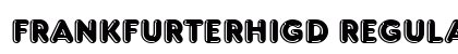 FrankfurterHigD Regular preview