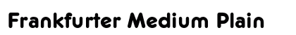 Frankfurter Medium Plain preview