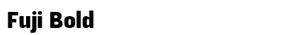 Fuji Bold preview
