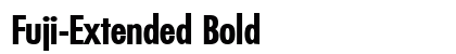 Fuji-Extended Bold preview