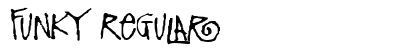 Funky Regular preview