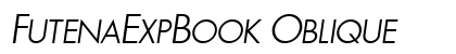 FutenaExpBook Oblique preview