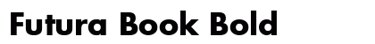 Futura Book Bold preview