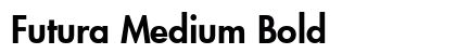 Futura Medium Bold preview