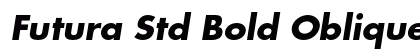 Futura Std Bold Oblique Preview