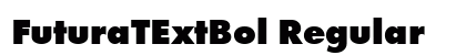 FuturaTExtBol Regular Preview