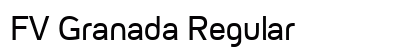 FV Granada Regular preview