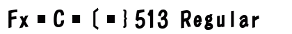FxC[}513 Regular preview