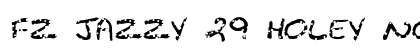 FZ JAZZY 29 HOLEY Normal Preview