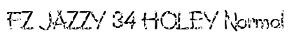 FZ JAZZY 34 HOLEY Normal preview