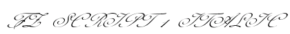 FZ SCRIPT 1 ITALIC Normal preview