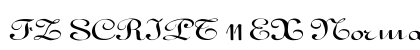 FZ SCRIPT 11 EX Normal preview