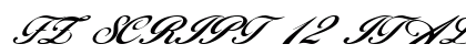 FZ SCRIPT 12 ITALIC Normal preview