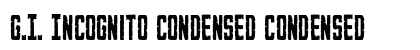 G.I. Incognito Condensed Condensed preview