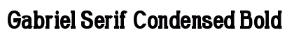 Gabriel Serif Condensed Bold preview